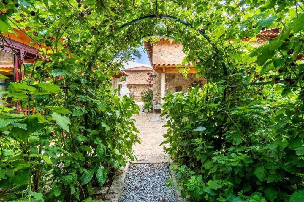 Casas Casal Do Carvalhal - Agroturismo Амарес Екстериор снимка